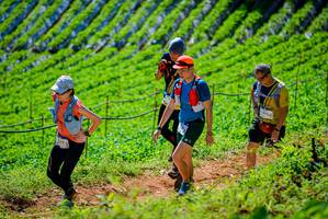 BIB: 233
                            <button type="button" onclick="openModal(19163482)" class="btn btn-primary btn-sm float-right btn-popup" data-toggle="modal" data-target=".modal-high-quality">
                        <i class="fas fa-shopping-cart"></i> Add to Cart
                    </button>
                                            <button type="button" onclick="isThisMe(19163482, true)" class="btn btn-success btn-sm float-right btn-popup btn-isme hidden" data-toggle="tooltip" data-placement="bottom" title="นี่คือรูปของคุณใช่ไหม คลิกที่นี่เพื่อเอาเข้าอัลบั้ม">
                        <i class="fas fa-plus"></i> Add to album
                    </button>
                    <button type="button" onclick="isThisMe(19163482, false)" class="btn btn-warning btn-sm float-right btn-popup btn-isnotme hidden">
                        <i class="fas fa-ban"></i> Remove from album
                    </button>